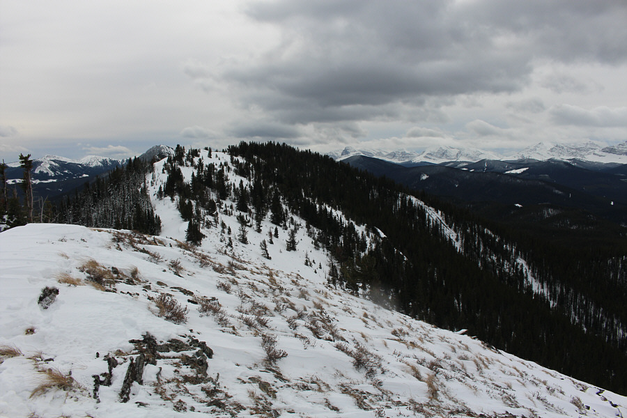 It might be worth coming back here in the future on a nicer day...