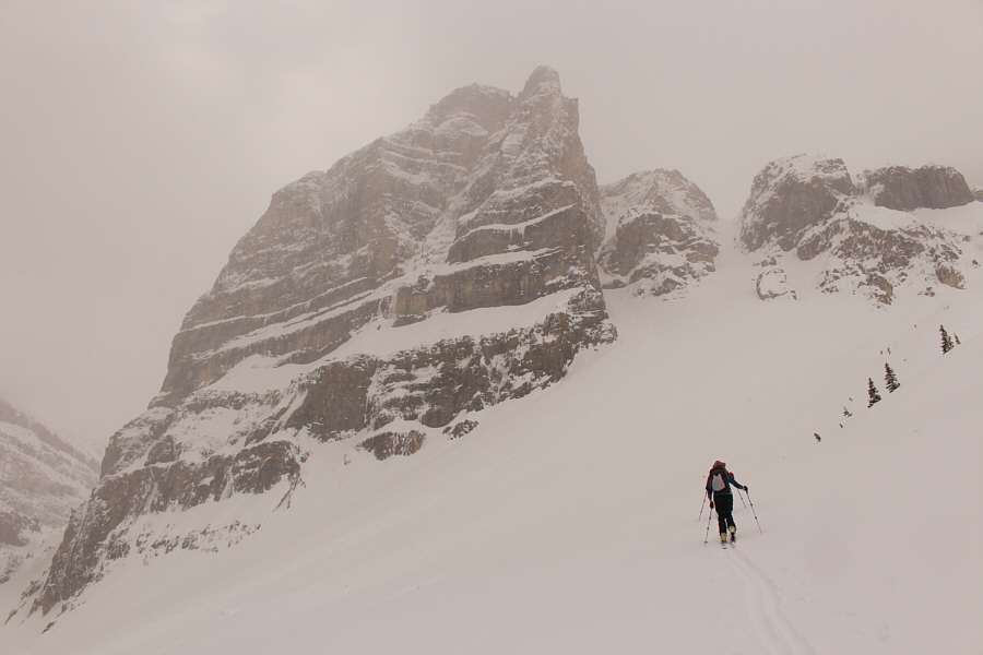 We'll come back some other day...maybe next weekend!