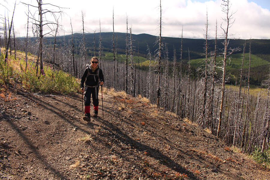 Suitable for children and dogs...so far!