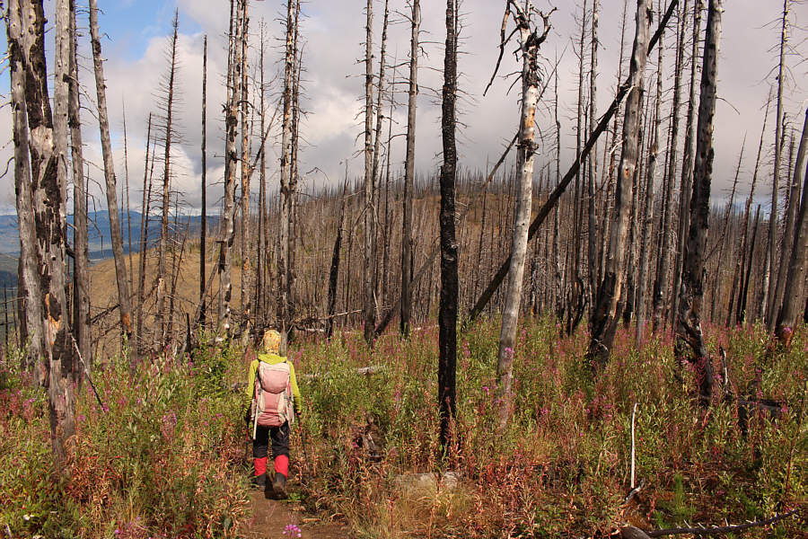 The dips are short but annoying!