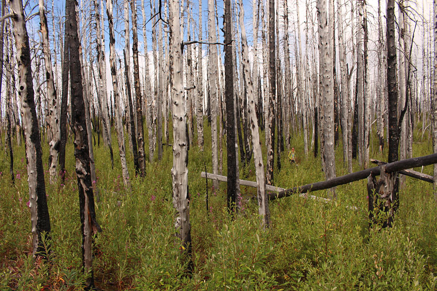 Not a good place to play disc golf!