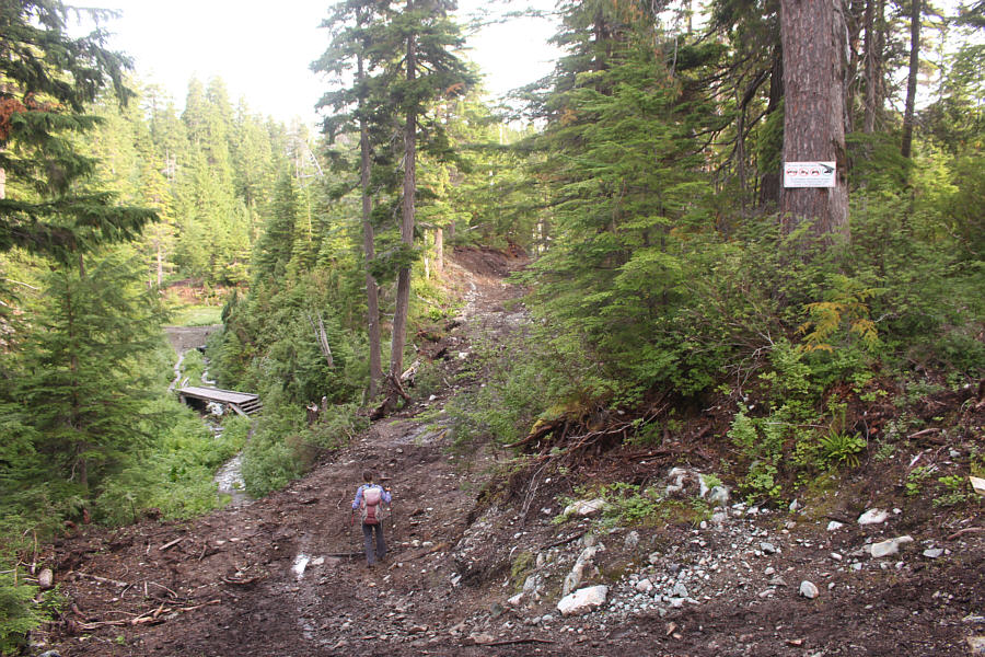 Don't worry...it gets worse!