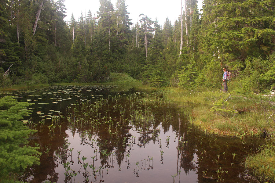 The trail is quite boggy and needs a lot of work.