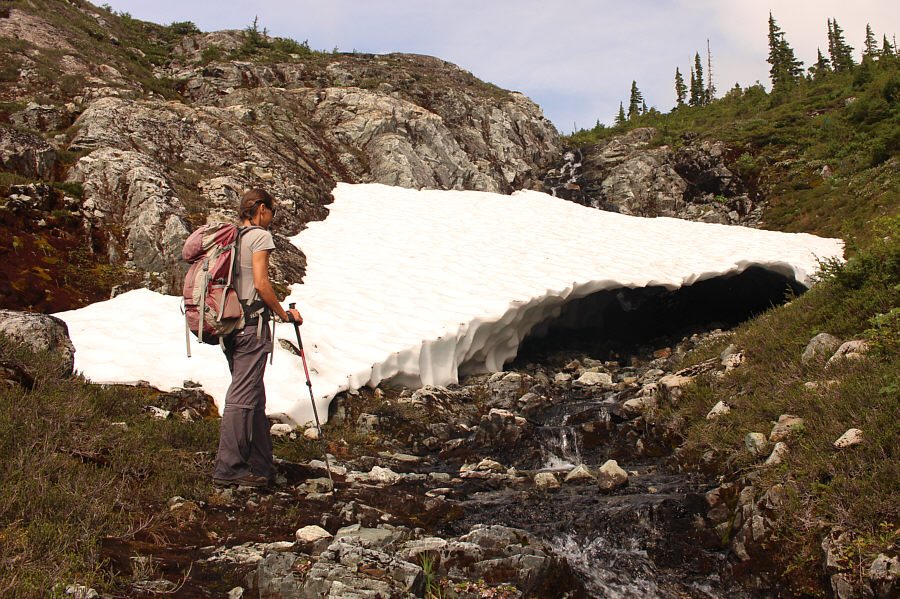 Bugs were absolutely brutal here!