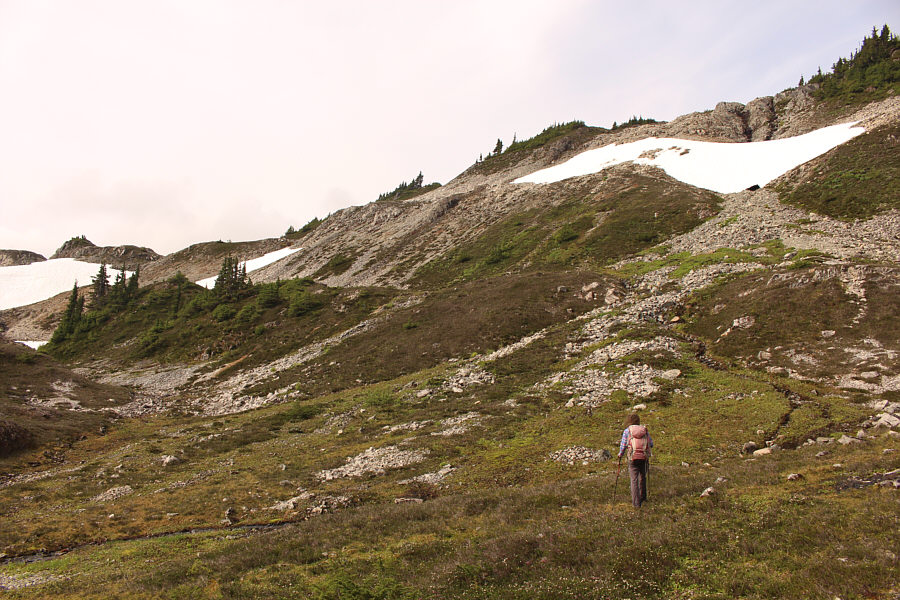 Frickin' bugs are still on us here!