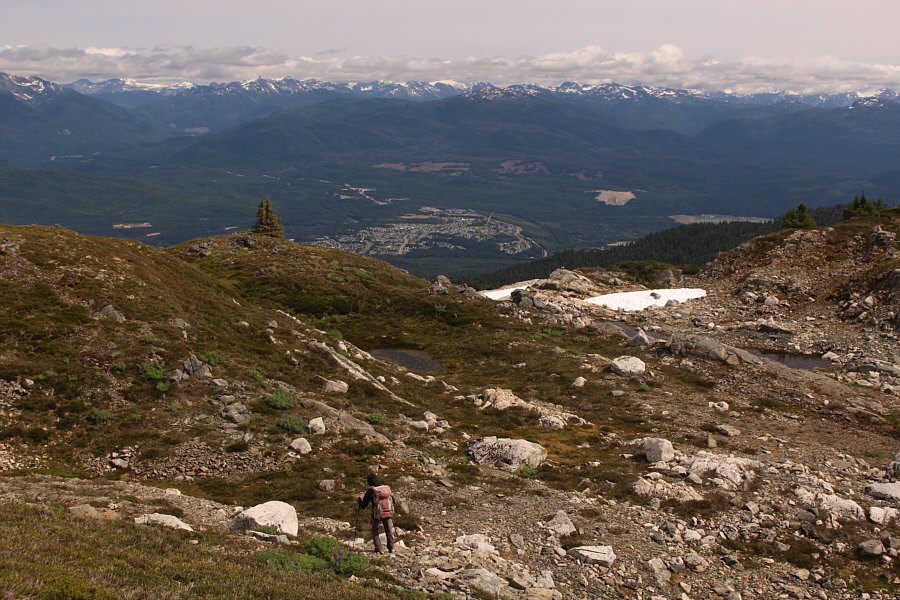 I think the bugs have finally gone away!