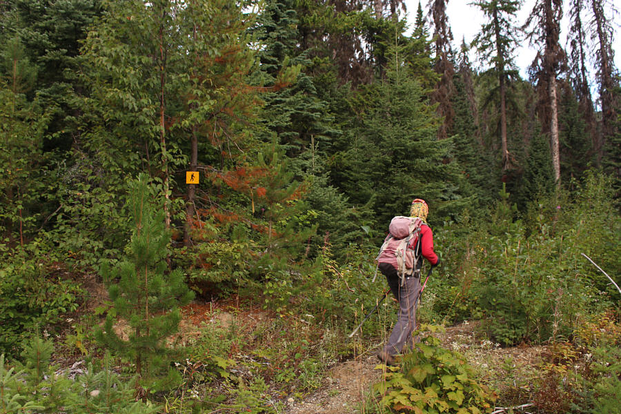 A pretty bare bones trailhead!