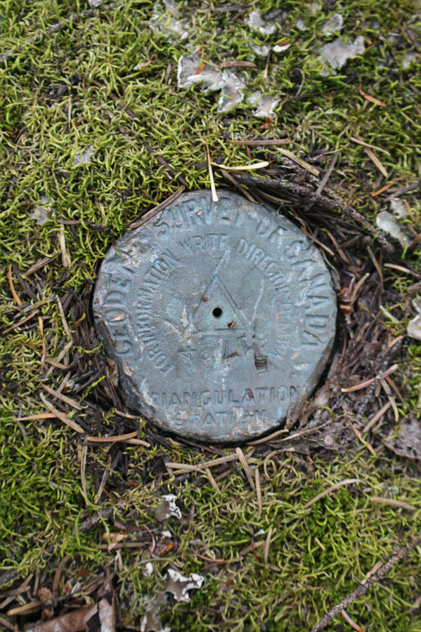 How the heck did they do survey readings through the forest?