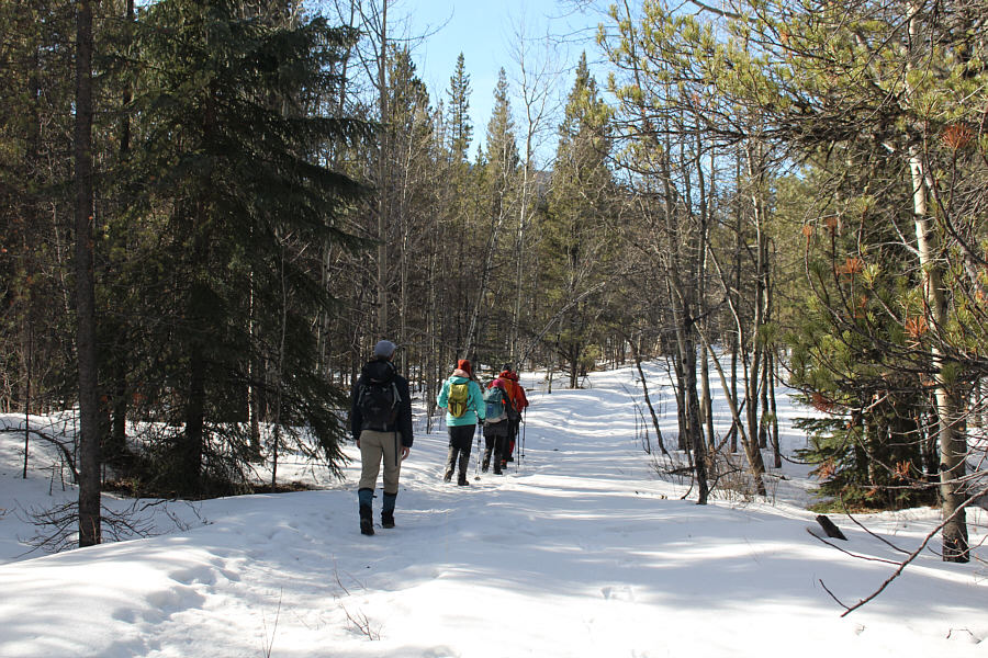 A surprising amount of foot traffic here in winter!