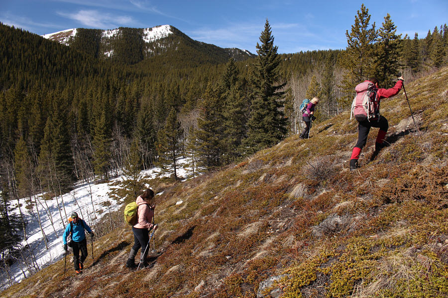 No trail, no problem!