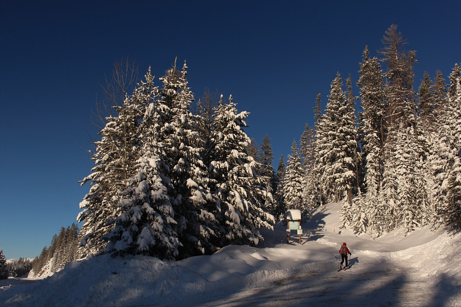 Brrrrrr! It's f**king cold!