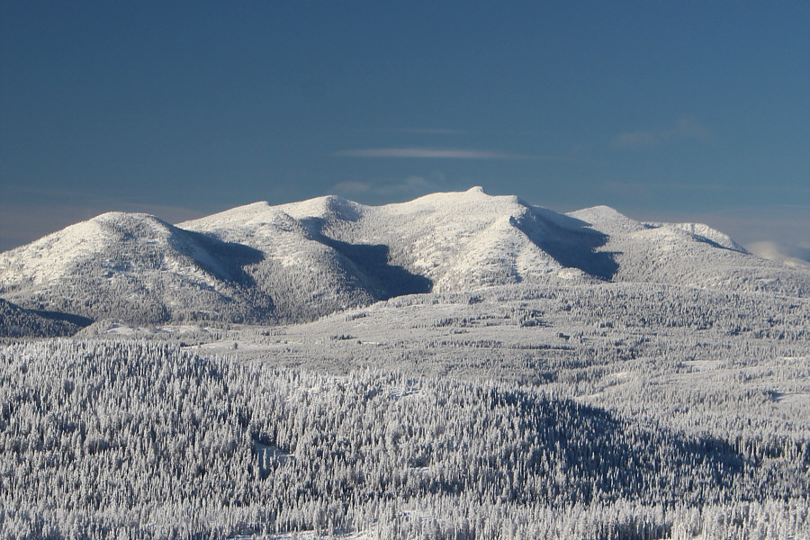 Looks much sexier in winter!