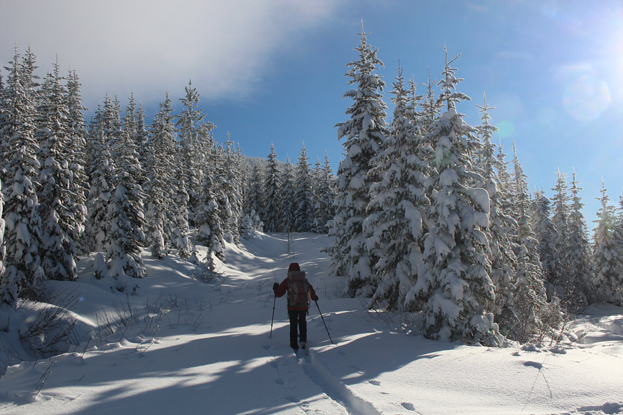 A much more gentle ascent than last time when we zigzagged up a steep cut block.