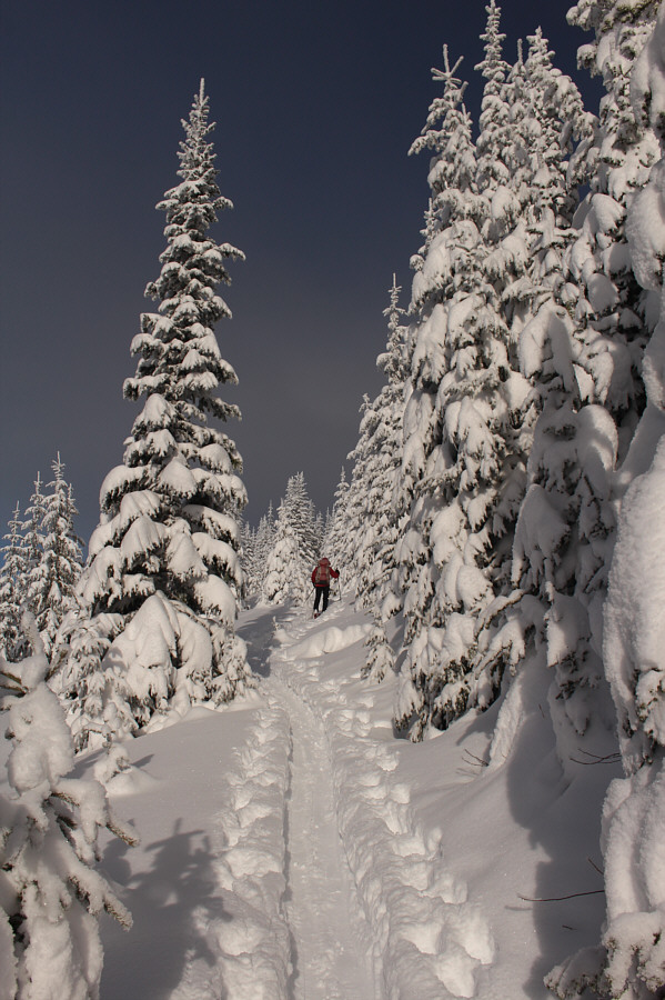 Thank you to those that came before us!