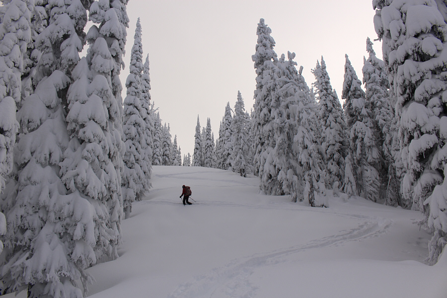 Can't wait to ski back down here!