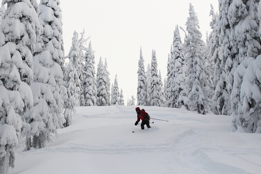 If you like powder, come here!