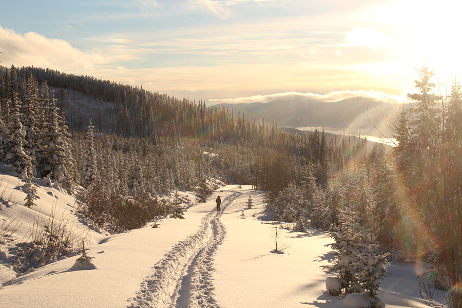 She's a tough cookie, but sadly, this will be her last ski for quite awhile.
