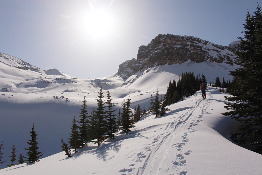 Still a long ways to go!