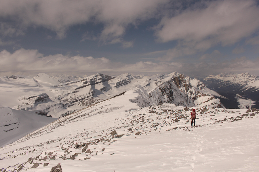 Tired of the views yet?