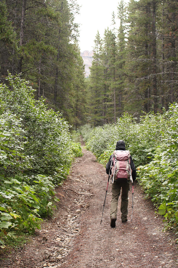 And it also climbs relentlessly...whew!