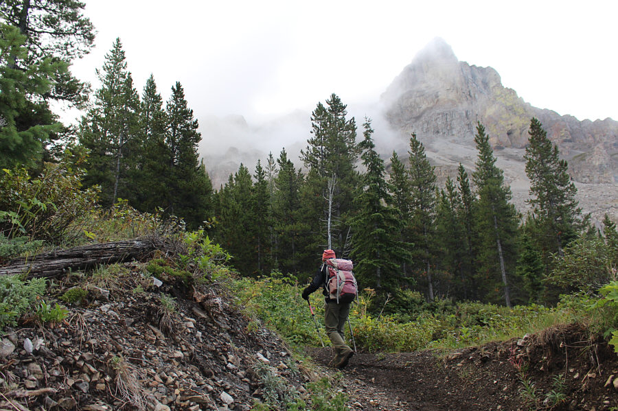 It is supposed to clear up later...I hope!