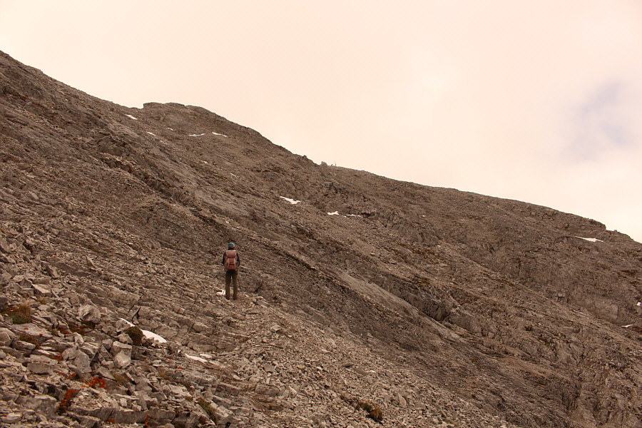 Just be patient and be careful!