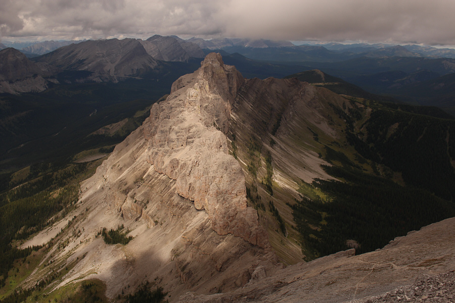 Best view of the day.