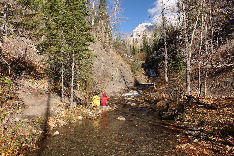 My mom brought enough food to feed an army!