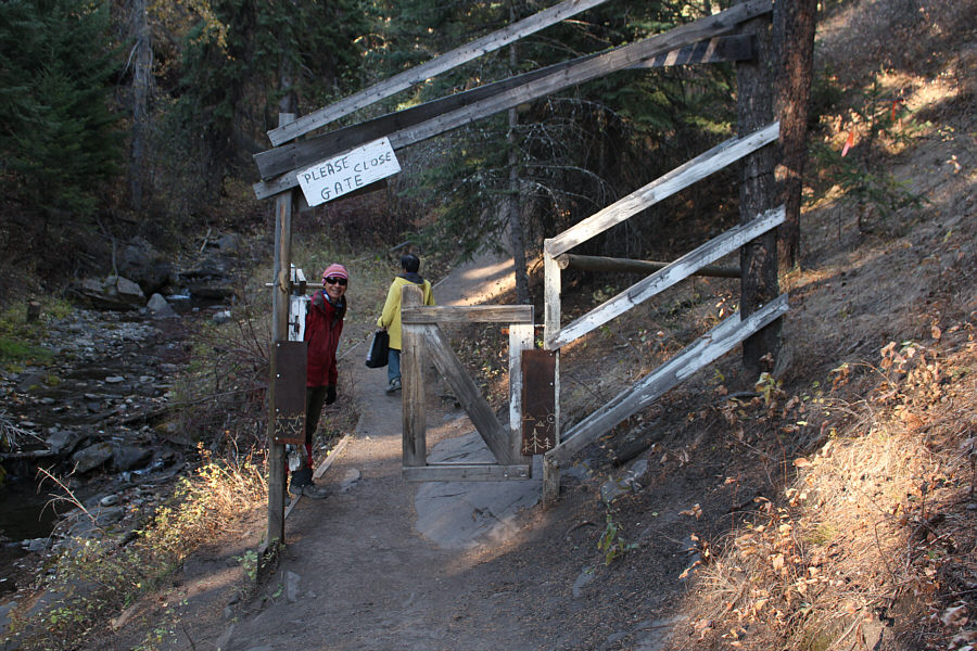 The gate wouldn't be that hard to walk around, so why bother?