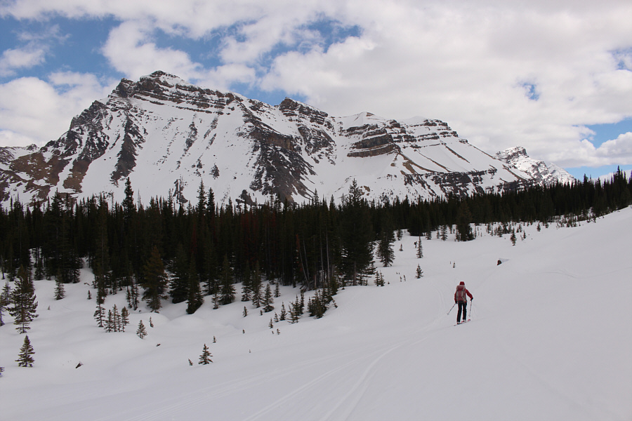 Descend through the trees here or stay high and right? Hmmm...