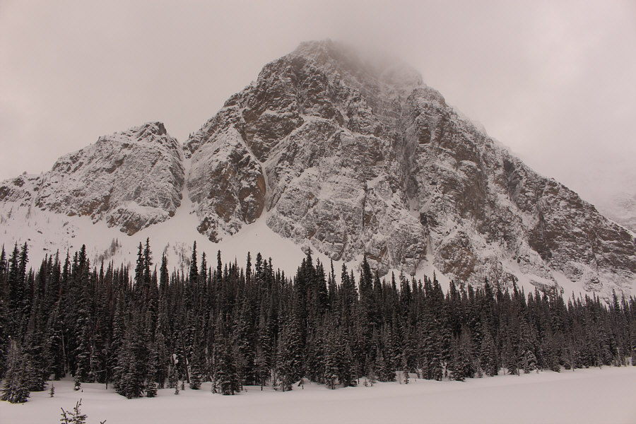 I will never ever climb up this cliff face!