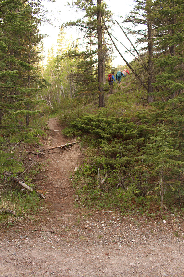 Pay attention! This junction is easy to miss!