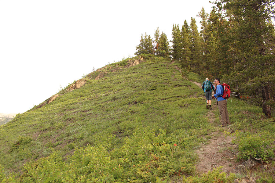 Views are nicer from here than from the high point!