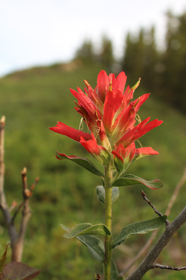 Always a welcome sight!