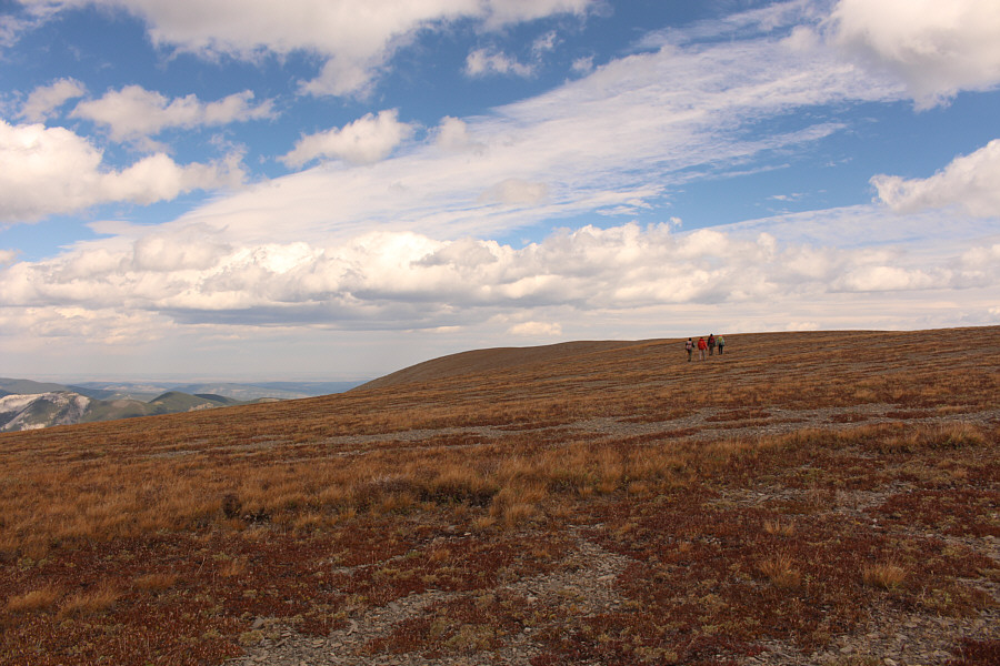 Good place to play football or fly a kite!