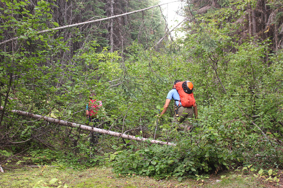 Not as bad as it looks, but it still kinda sucks!