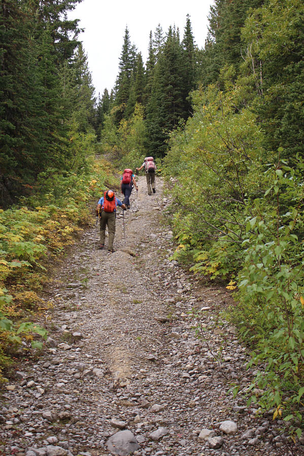 Better than bushwhacking, I guess!