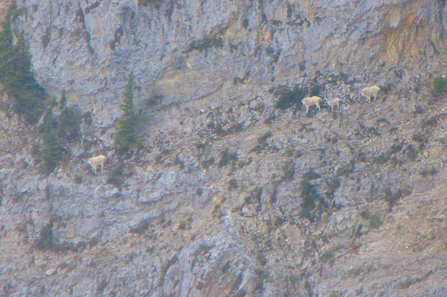 I think they were surprised to see us...