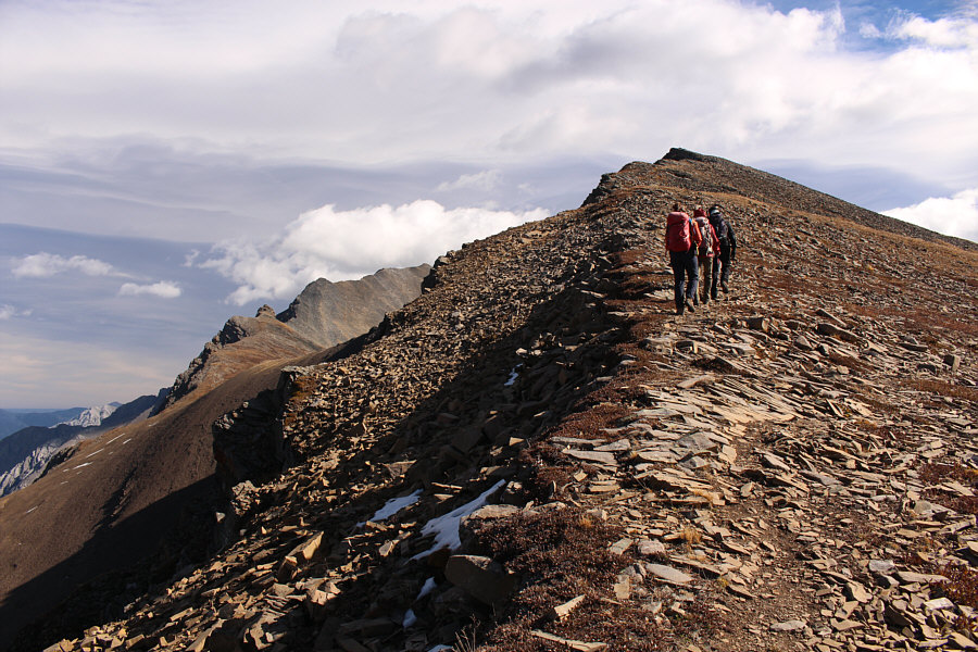 I can't believe Matt Clay didn't continue all the way to the top when he was here in 2011!