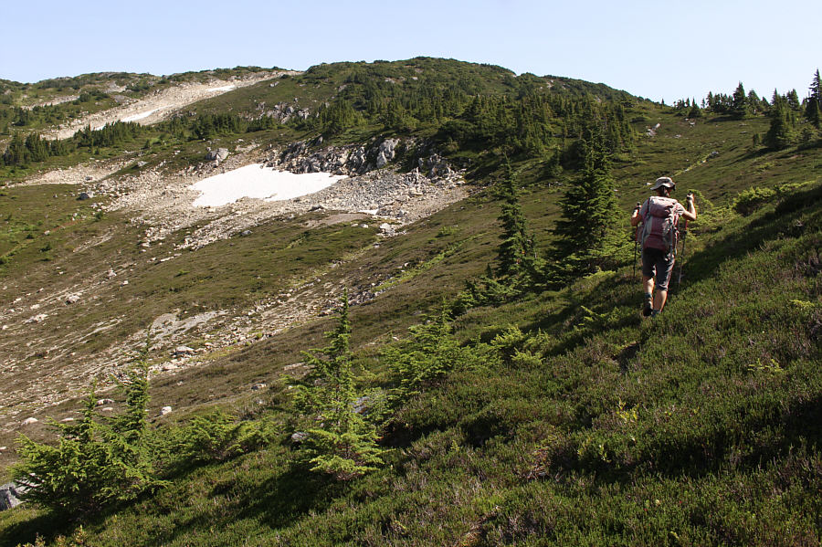 There is not much in the way of beaten paths on this mountain!