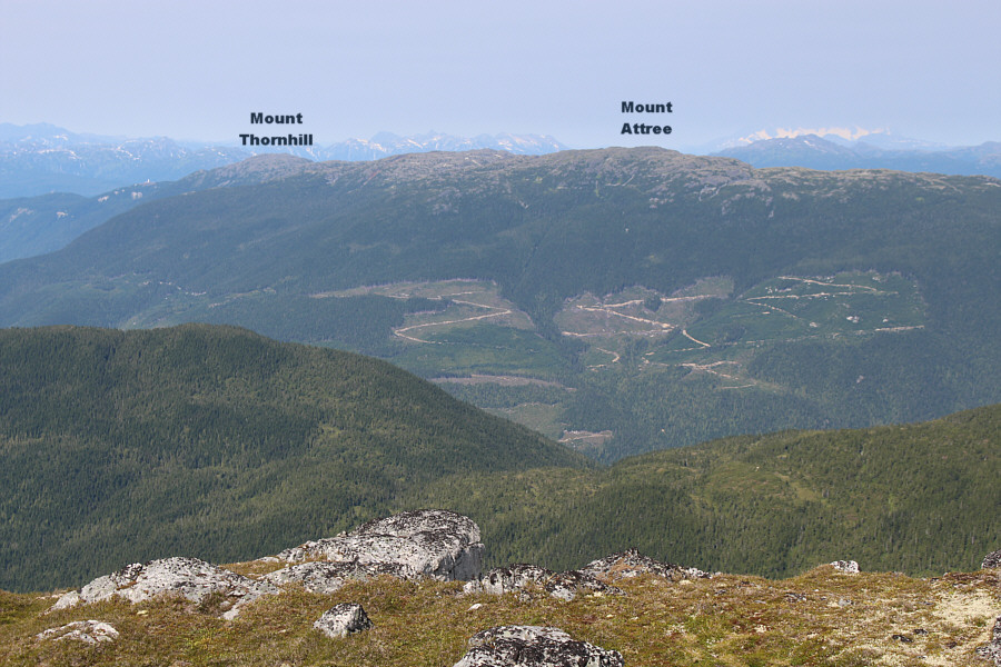 Mount Attree looks similar in character to Mount Thornhill and may be worth climbing.