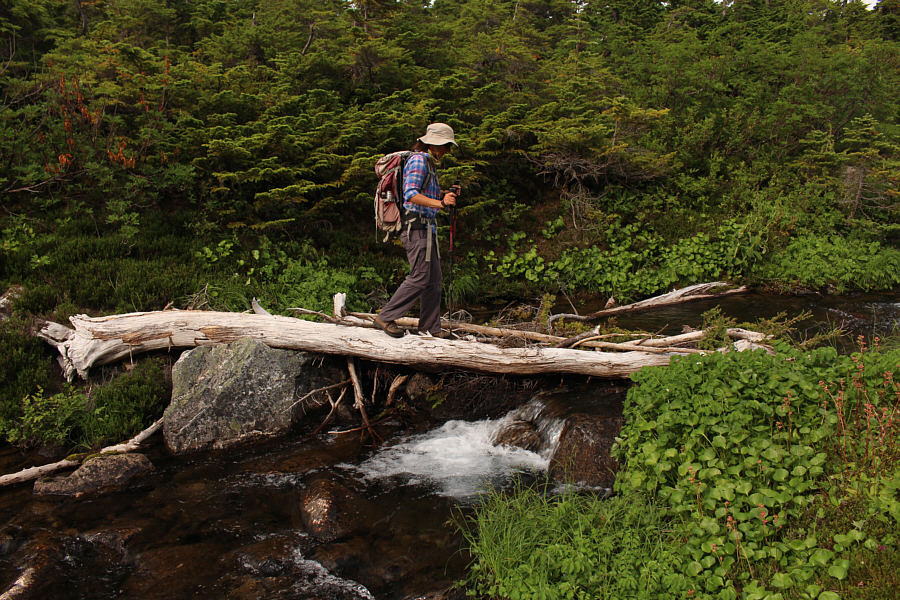 Last obstacle of the day!