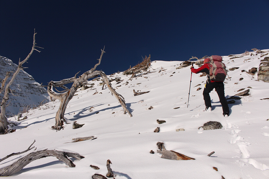 Yep, not worth dragging our skis over these protruding rocks!