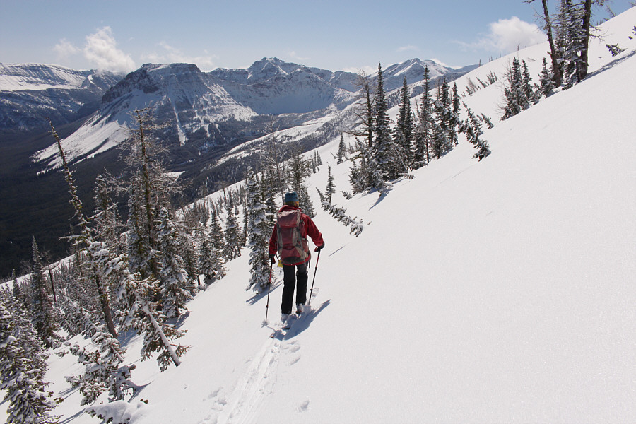 Best decision we ever made!