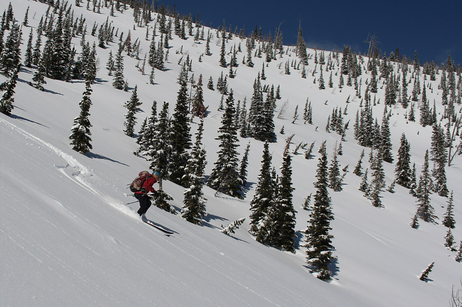 Looking good, Zosia!