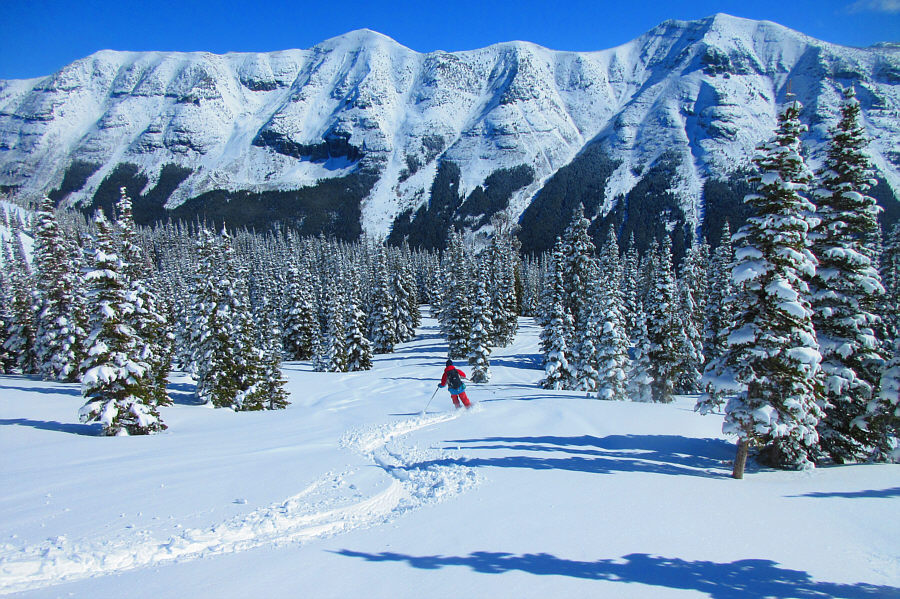 Hope the old ski tracks don't end up at a pile of bones!