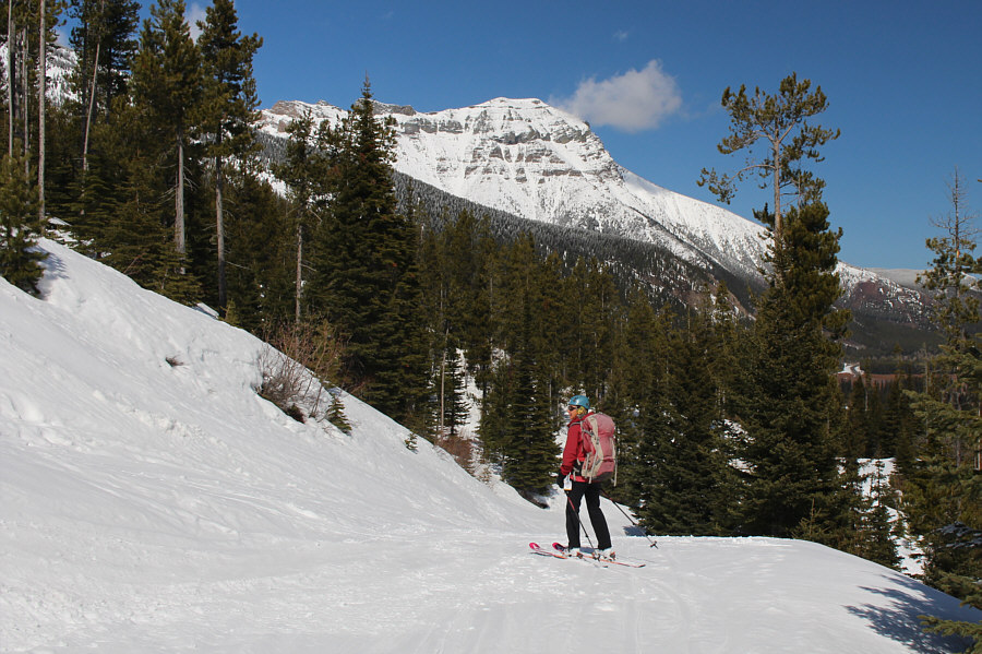 Best ski outing of the season so far!