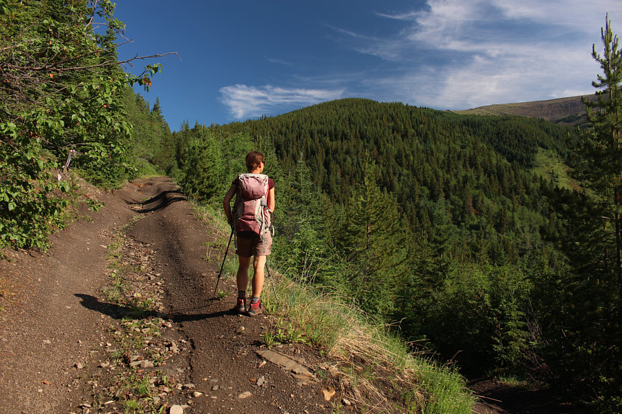 There may be a bear lurking somewhere around here...