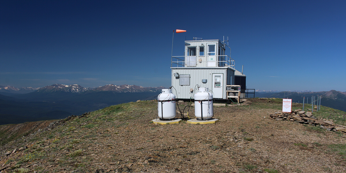 Let's go fly a kite!