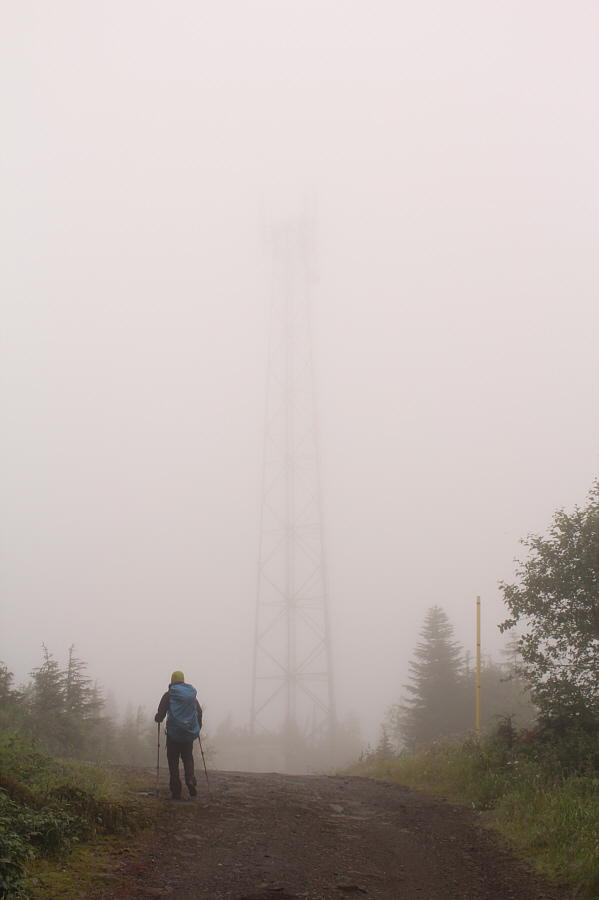 Don't be fooled; there's more than one at the top!